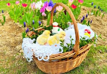 Wesołych Świąt Wielkanocnych!