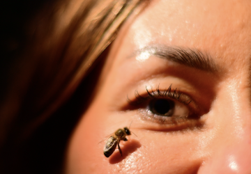 🐝 Kiedy natura podchodzi naprawdę blisko! 👑🌿